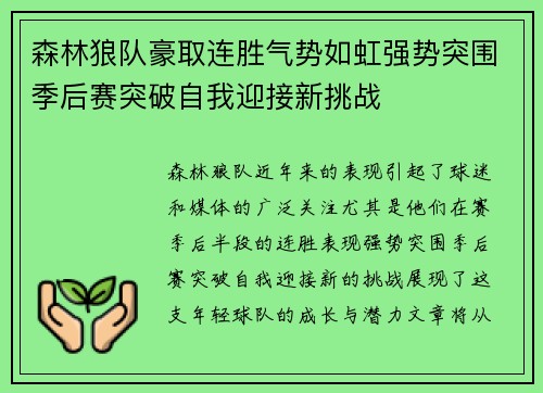 森林狼队豪取连胜气势如虹强势突围季后赛突破自我迎接新挑战